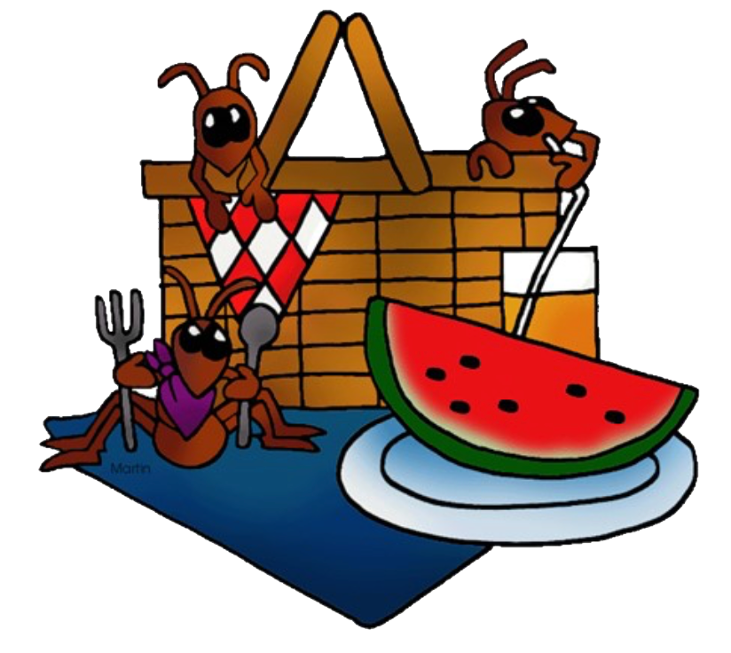 Membership Appreciation Picnic