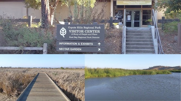Coyote Hills Visitor Center