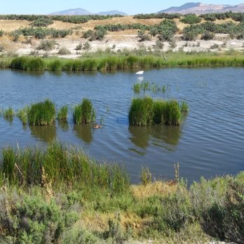Marlin Pound Park Livermore